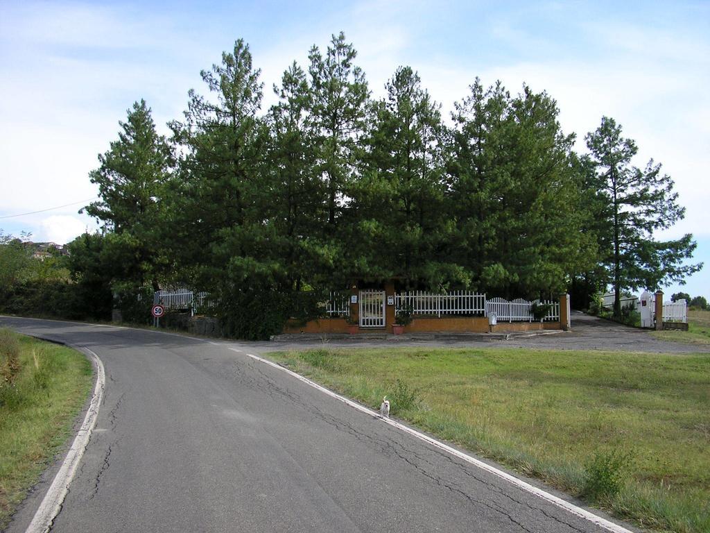 Villa Carmen Spineto Scrivia Exterior photo
